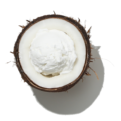 Coconut 2