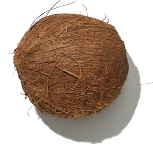 Coconut 3