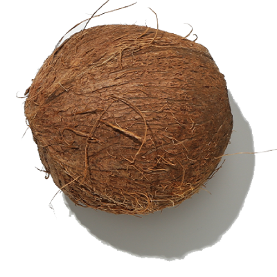 Coconut 3