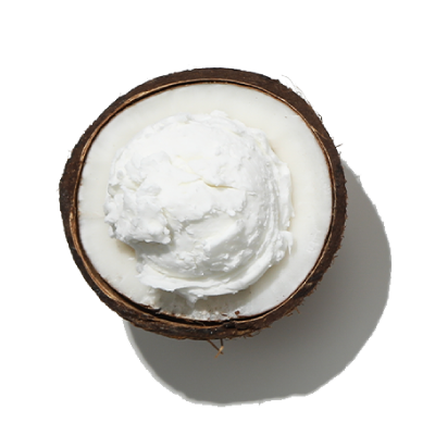 Coconut 4